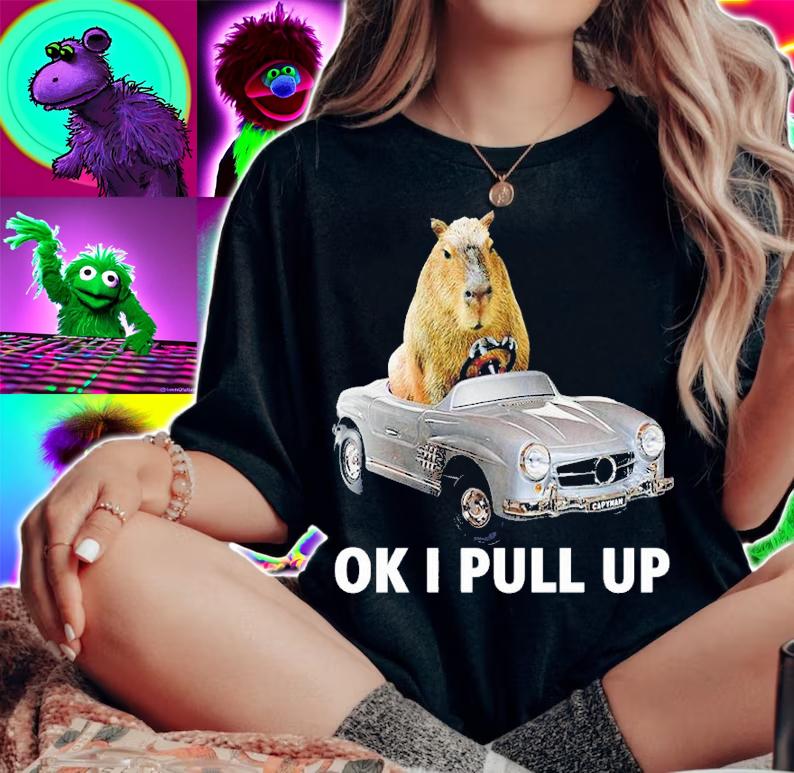 Capy car ok I pull up shirt t-shirt woman shirt