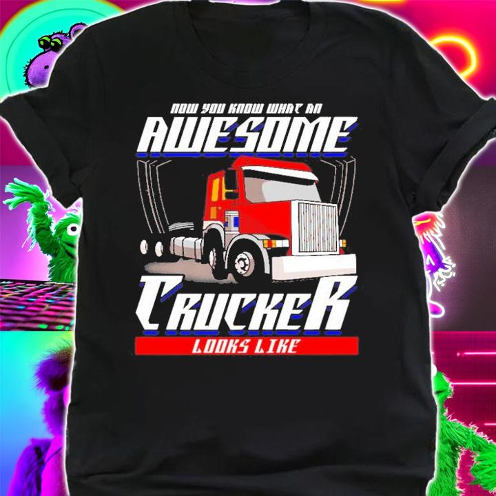 Trucker Now You Know What An Awesome Trucker Looks Like Funny Saying T-Shirt t-shirt