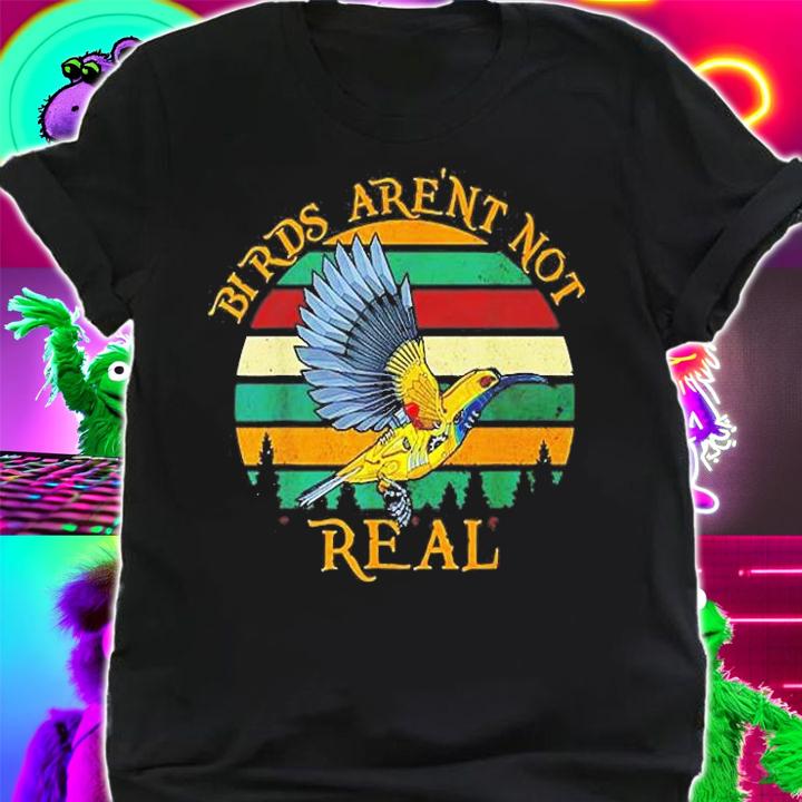 Bird Arent Real Retro Sunset T-Shirt t-shirt shirt