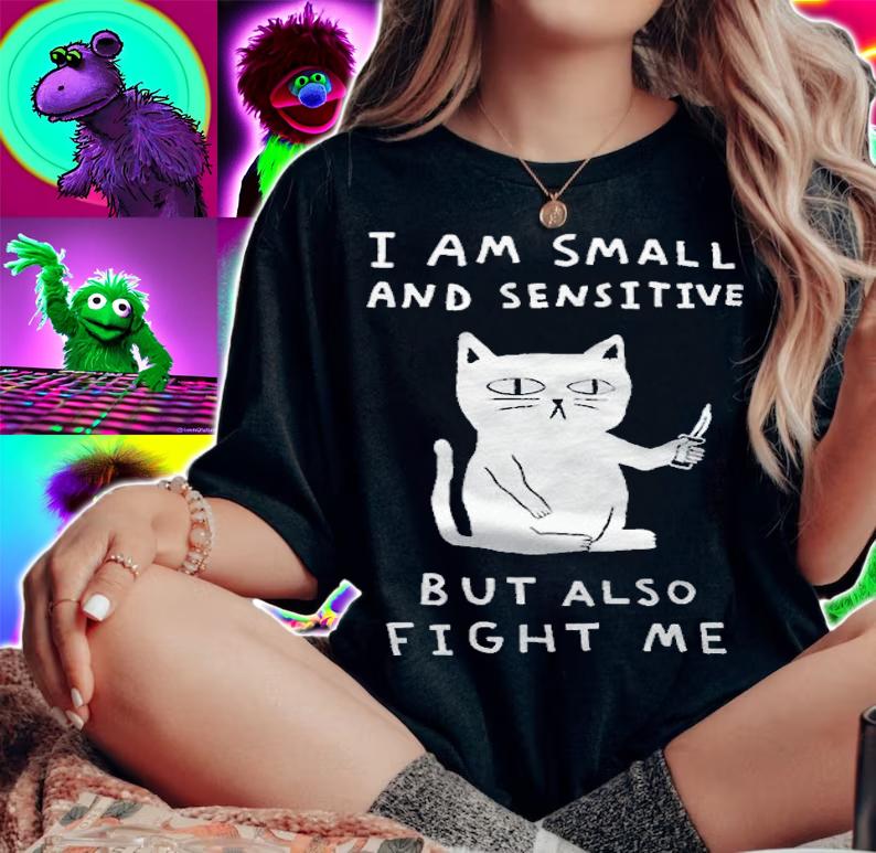 Funny cat I am small and sensitive but also fight me T-shirt woman shirt